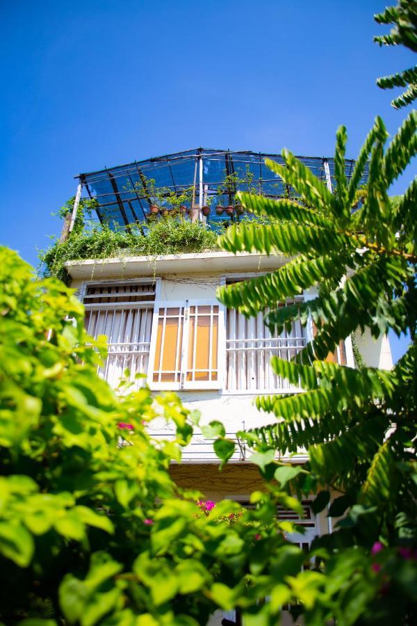 Skybird Homestay Hoi An Exterior photo